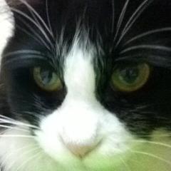 ぴくみん