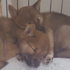 ☆emi☆のトーク