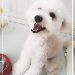 暇人おいでー!! なんでも話すよ!!