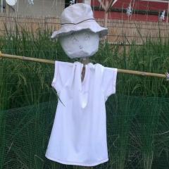 David Limのトーク