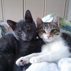 さーりーちゃん♪