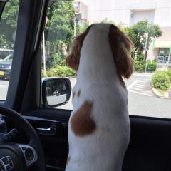 播州難波推し隊其之一