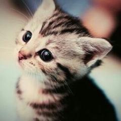 色々話をしよー！