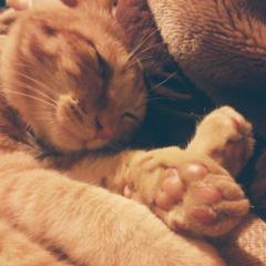 そらお。( My daily life ) ぼくの日常。