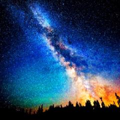 積極的なネコのトーク