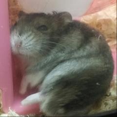 みおり