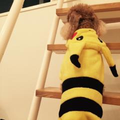 ピーーーーカチューの独り言