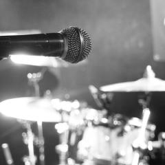 撮った写真たち