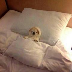 小学生、中学生、高校生カモーン☆メンバー募集中!!