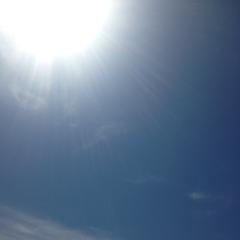 とっしー(*•̀ᴗ•́*)و ̑̑