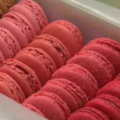 えいのトーク😄