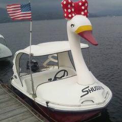 刺身の盛り合わせ