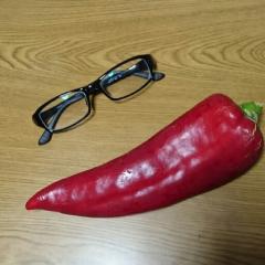 とーるのトーク