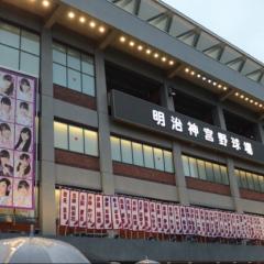 すていぶ
