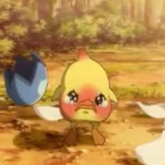 ピッポのトーク 755