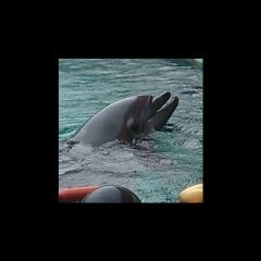 こにたんのトーク