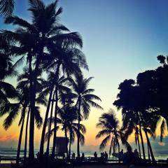🌺ハワイ留学何でも相談室🌴