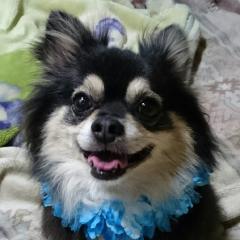 スミちゃん