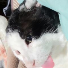 (○･∀･)ﾉ ﾏｲﾄﾞ!!