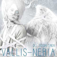 VALLIS-NERIA