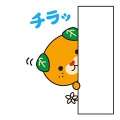 ひよたす＠結局メルちゃん神推し