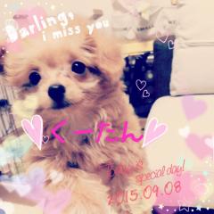 ころたん.｡.:*･ﾟ♡