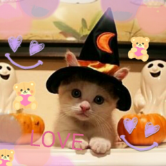 ☆エリカと私の親友トーク☆