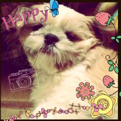 💜💟😈自由😈💟💜