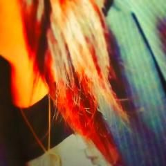 なかちゃんのトーク