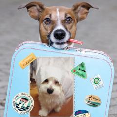 ×××ワサコレ×××マルパピ倶楽部