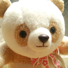 いい肉とも茶ん