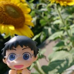 ころ