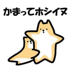 かまって下さい‼