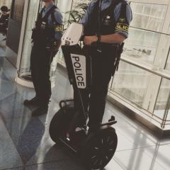 ♋︎南国中毒♒️