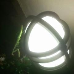 おろろろろろろ