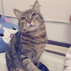 未緒さん専用* ੈ✩‧₊˚