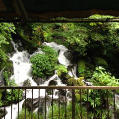 テトラのトーク