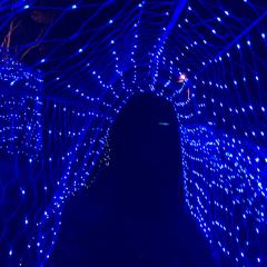 HKT48応援トーク