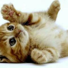 逆採点して！🙏🙇