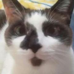 まみーーじょ☆mami☆