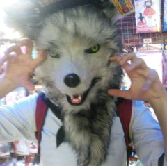 ガオちゃん