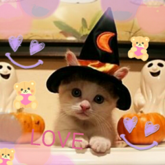 友達になろっ(>о･p)