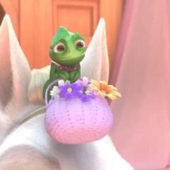 カ ル パ ッ チ ョ のトーク