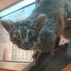 誰でも大歓迎‼️みんな来てねー