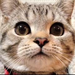 かおりん