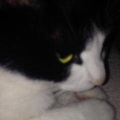 暇人集まれ〜！