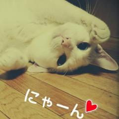 りとーく♡ฅ•ω•ฅ