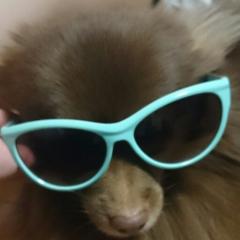 神ちゃん