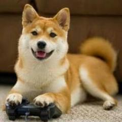 わんさんトーク