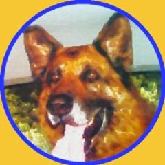 わたる　藤のトーク